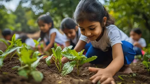 5 Pillars of Sustainability Every School Should Adopt